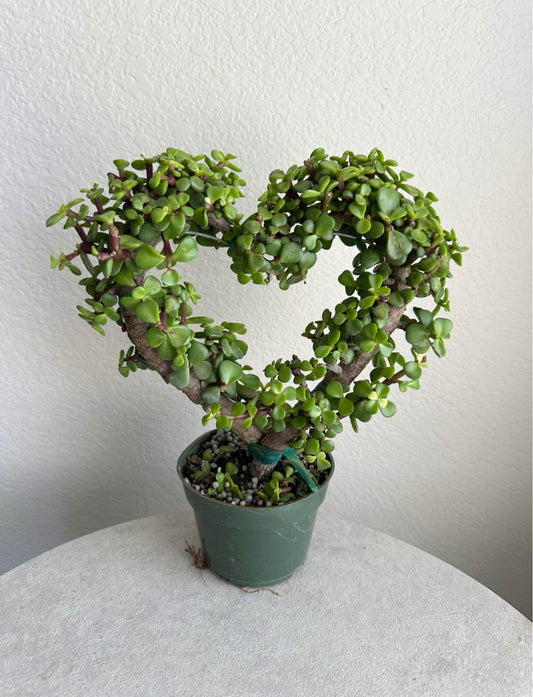 4" Jade Heart