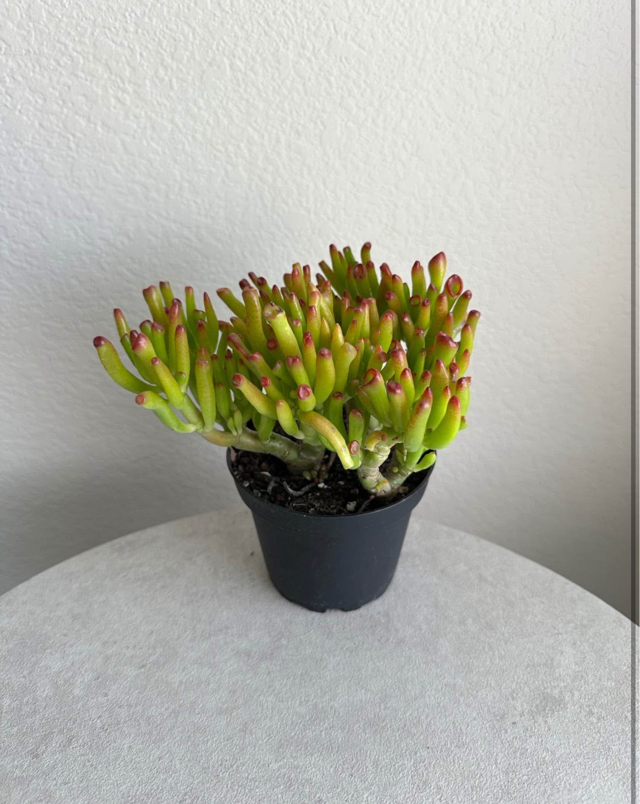 4" Gollum Jade