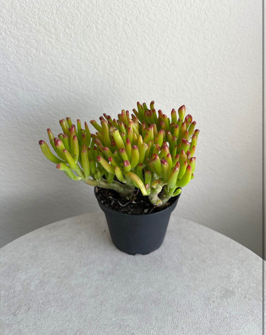 4" Gollum Jade