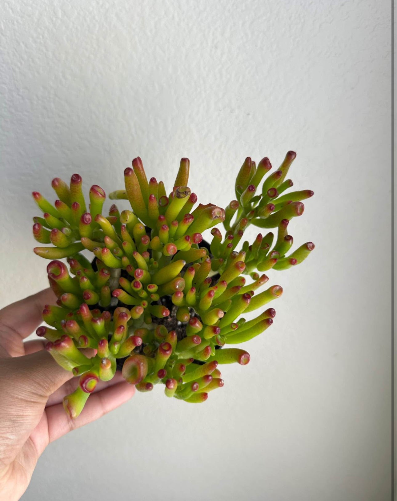 4" Gollum Jade